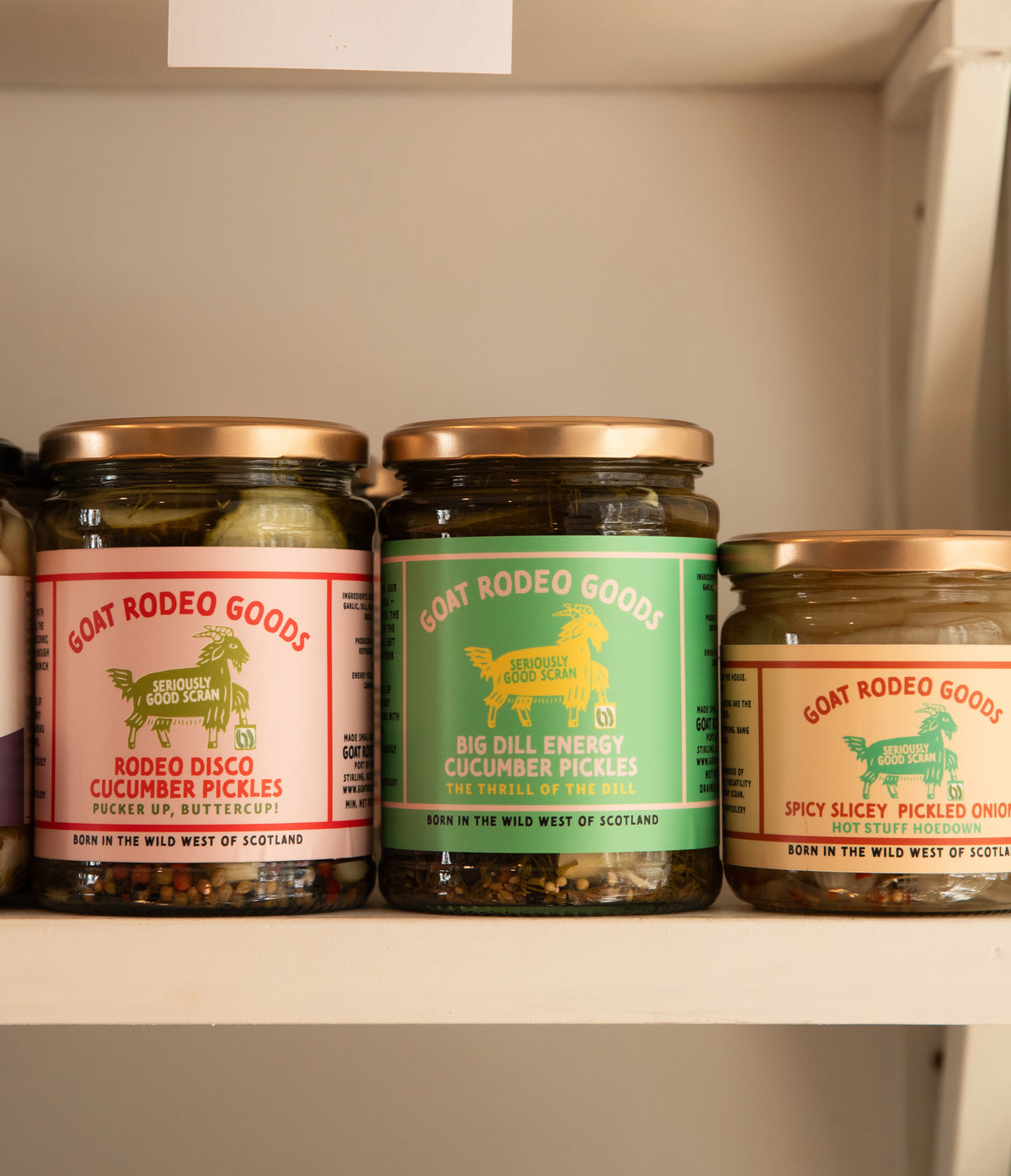 RODEO DISCO PICKLES - CASE PACK OF 6