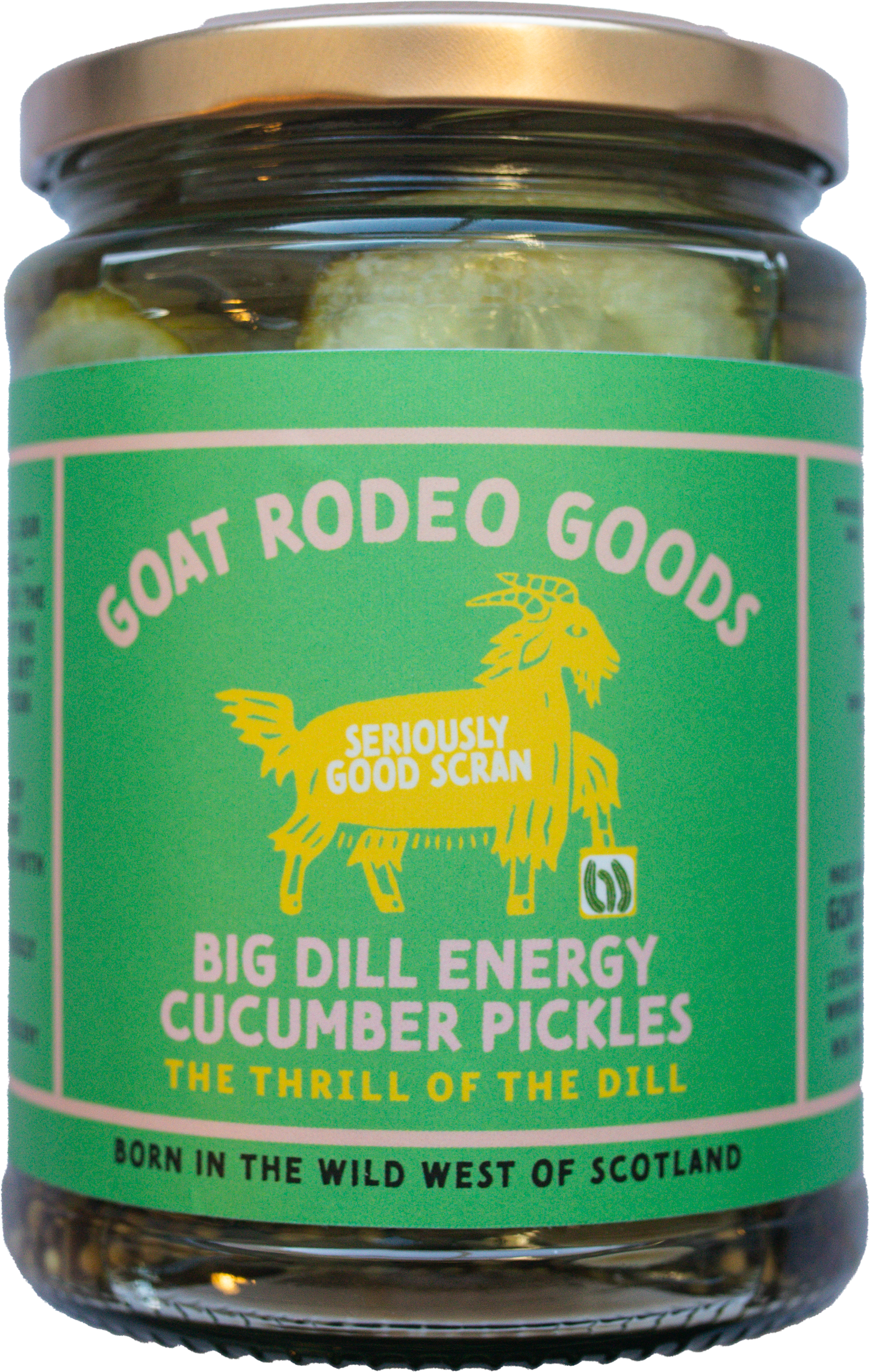 BIG DILL ENERGY SOUR DILL AMERICAN- STYLE CUCUMBER PICKLES - CASE PACK OF 6 (Copy)